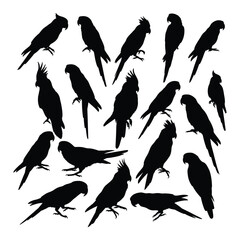 Obraz premium Parrot Silhouettes Collection with white background
