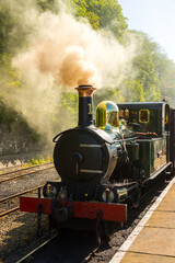 Fototapeta premium the Isle of Man steam train getting ready to depart from the Castletown train station