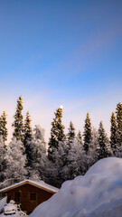 Sun in Lapland