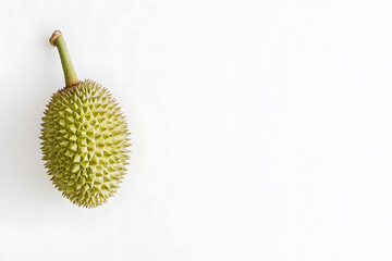 Fresh durian fruit isolated on white background