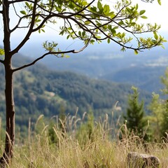 Obraz premium Tree on the mountains view