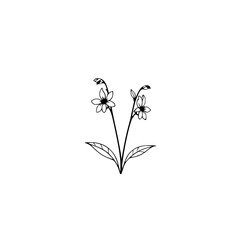 Elegant Minimalist Flower Line Art: Black and White Botanical Illustration. Perfect for home decor, invitations, and more.