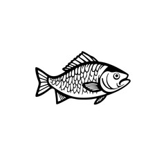 Black and white illustration of a fish, a detailed drawing of an aquatic animal. Perfect for nature documentaries, educational materials, or artistic projects.