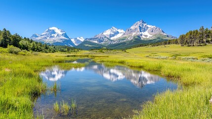 Mountain lake reflection, sunny meadow, summer landscape, nature postcard