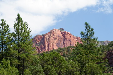 Taylor Creek Trail - Zion National Park
