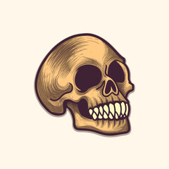 Vintage style Human skull design
