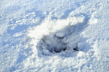 Scarps and trace crater of a grenade explosion on the snow sunny day