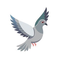 Flying Pigeon Vector Illustration - Cartoon, Clipart & Line Art Design.eps