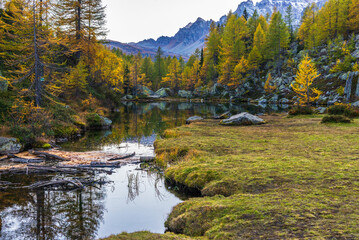 Fototapeta premium autumnal mountain landscape inside the Alpe Devero, Val D'Ossola, Verbania, Italia 