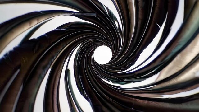 Spiral feathers texture dark shine high detail