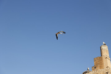Badii palace, Marrakesh,  Morocco