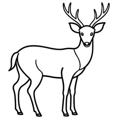 Minimalist Deer Line Art Vector Design