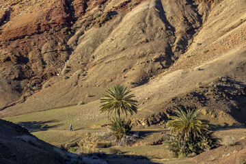 Semi-arid landscape with man walking near Tazert, Al Haouz province, Morocco