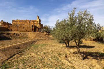 Traditional building and trees in Tazert village, Morocco