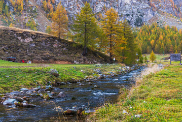 autumnal mountain landscape with a small stream  inside the Alpe Devero, Val D'Ossola, Verbania, Italia	
