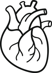 Human heart design over white background vector illustration. Human heart anatomy. Heart medical science vector illustration 