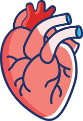 Human heart design over white background vector illustration. Human heart anatomy. Heart medical science vector illustration 