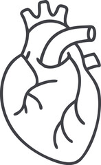 Obraz premium Human heart design over white background vector illustration. Human heart anatomy. Heart medical science vector illustration 