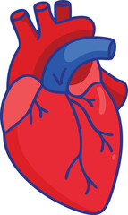 Human heart design over white background vector illustration. Human heart anatomy. Heart medical science vector illustration 