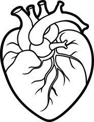 Human heart design over white background vector illustration. Human heart anatomy. Heart medical science vector illustration 