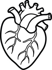Human heart design over white background vector illustration. Human heart anatomy. Heart medical science vector illustration 