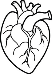 Human heart design over white background vector illustration. Human heart anatomy. Heart medical science vector illustration 