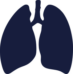 Lungs Human organs hand drawn vector illustration line art. Human lungs. Medical illustration. Vector on white background