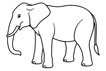 Minimalist Elephant Line Art Vector