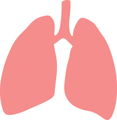 Lungs Human organs hand drawn vector illustration line art. Human lungs. Medical illustration. Vector on white background