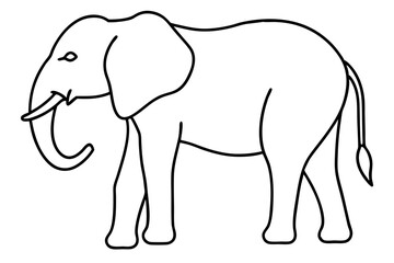 Minimalist Elephant Line Art Vector