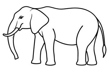 Minimalist Elephant Line Art Vector