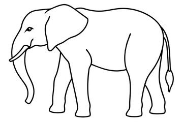 Minimalist Elephant Line Art Vector