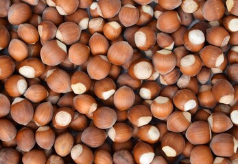 Hazelnuts in shell close up	