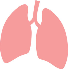 Lungs Human organs hand drawn vector illustration line art. Human lungs. Medical illustration. Vector on white background