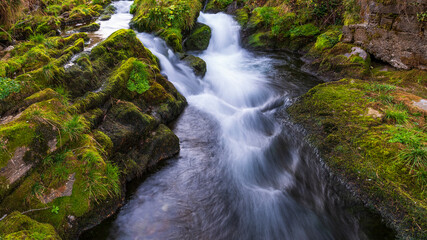 Fototapeta premium autumnal mountain landscape with a small stream inside the Alpe Devero, Val D'Ossola, Verbania, Italia 
