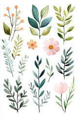A collection of watercolor flowers and leaves