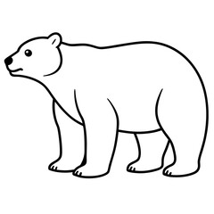Minimalist Polar Bear Line Art Vector