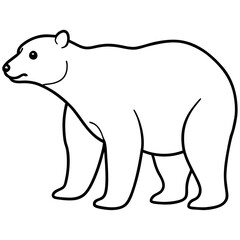 Minimalist Polar Bear Line Art Vector