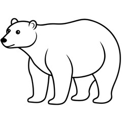 Minimalist Polar Bear Line Art Vector
