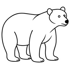 Minimalist Polar Bear Line Art Vector