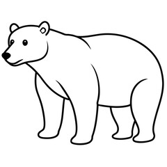 Minimalist Polar Bear Line Art Vector