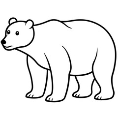 Minimalist Polar Bear Line Art Vector