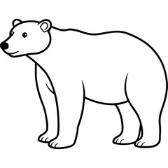 Minimalist Polar Bear Line Art Vector