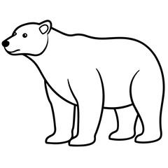 Minimalist Polar Bear Line Art Vector