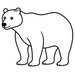 Minimalist Polar Bear Line Art Vector