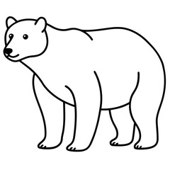 Minimalist Polar Bear Line Art Vector