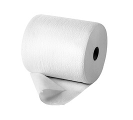 Simple toilet paper on white