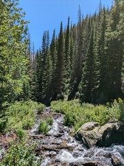 Obraz premium rocky mountain river