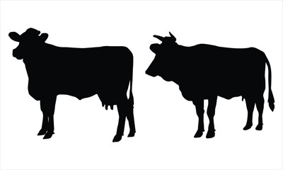 silhouette of  cow set isolated on a white background