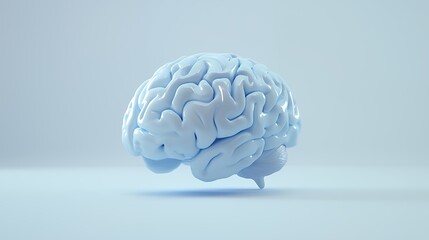 a 3d model of a human brain 